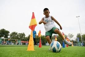 什么是“信息管理”？（信息管理究竟是什么？）